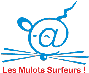 Les Mulots Surfeurs